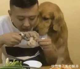 男子在金毛狗面前吃肉，卻不給狗狗吃一口，它最後的表情亮了！